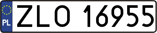 ZLO16955