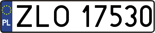 ZLO17530