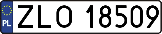 ZLO18509