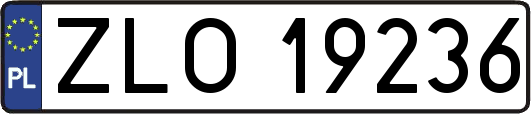 ZLO19236