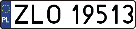 ZLO19513