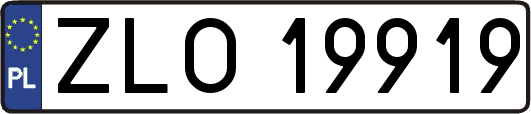 ZLO19919