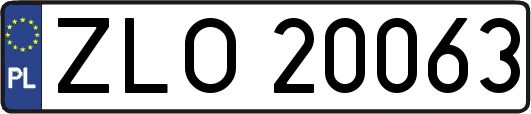 ZLO20063