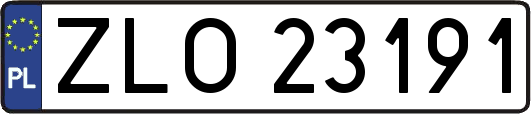 ZLO23191