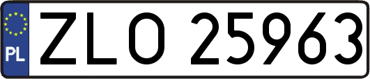 ZLO25963