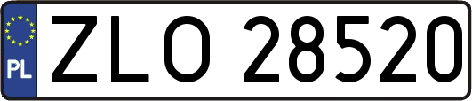 ZLO28520
