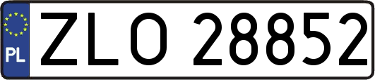 ZLO28852