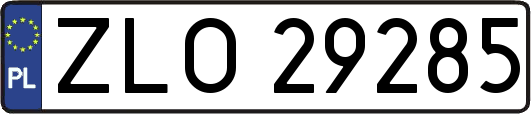 ZLO29285