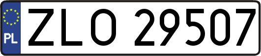 ZLO29507