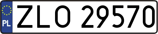 ZLO29570