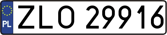 ZLO29916