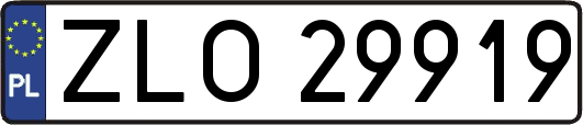 ZLO29919