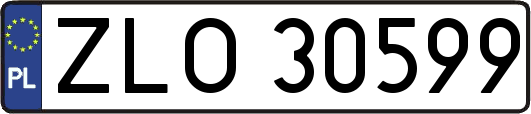 ZLO30599