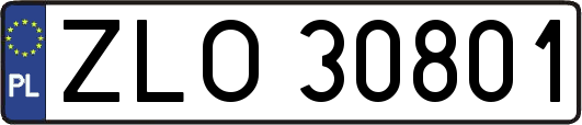 ZLO30801