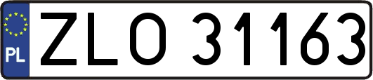 ZLO31163