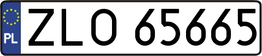 ZLO65665