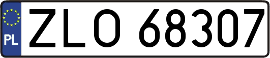 ZLO68307