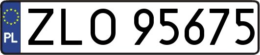 ZLO95675