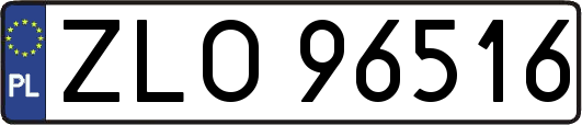 ZLO96516