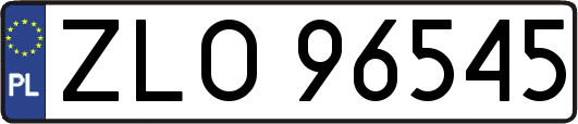 ZLO96545