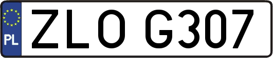 ZLOG307
