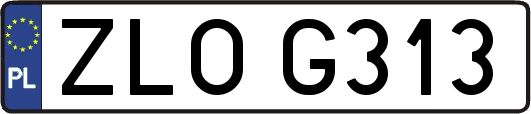 ZLOG313
