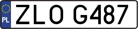 ZLOG487