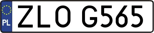 ZLOG565
