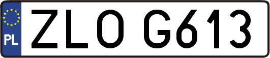 ZLOG613