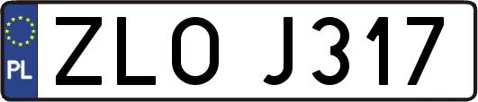 ZLOJ317