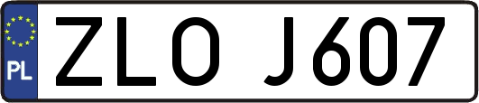 ZLOJ607