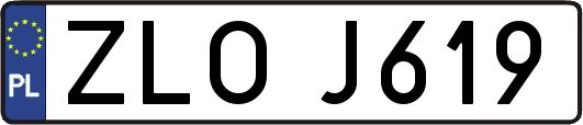 ZLOJ619