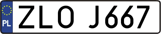 ZLOJ667