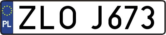 ZLOJ673