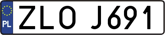 ZLOJ691