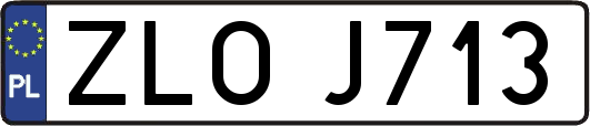 ZLOJ713