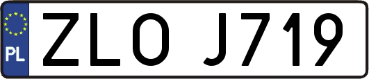 ZLOJ719