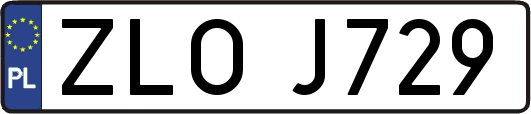 ZLOJ729