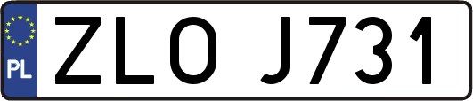 ZLOJ731