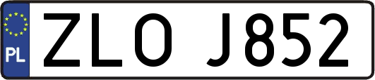 ZLOJ852