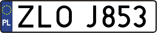 ZLOJ853