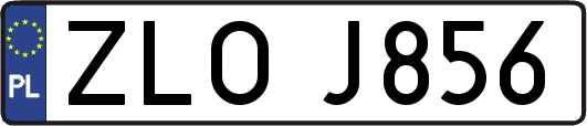 ZLOJ856