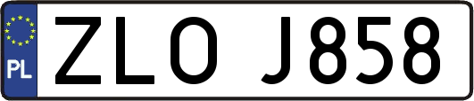 ZLOJ858
