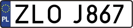 ZLOJ867