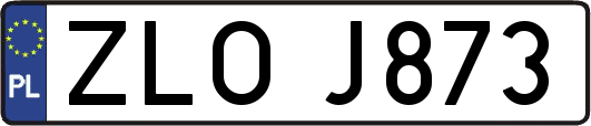 ZLOJ873