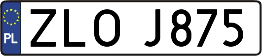 ZLOJ875