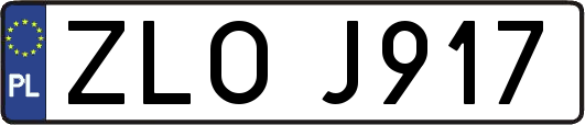 ZLOJ917