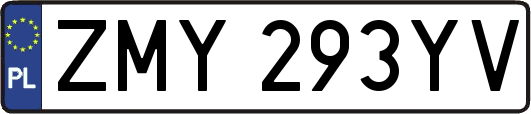 ZMY293YV