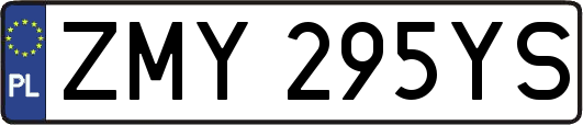 ZMY295YS