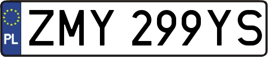 ZMY299YS